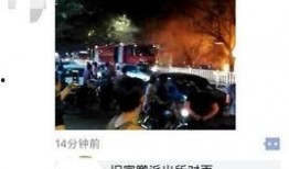 年鵬事件最新爆料,最新爆料揭露驚人內幕